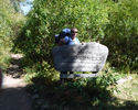 Photo of Stacey Alfandre